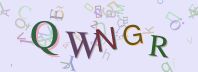 This is a captcha-picture. It is used to prevent mass-access by robots. (see: www.captcha.net)